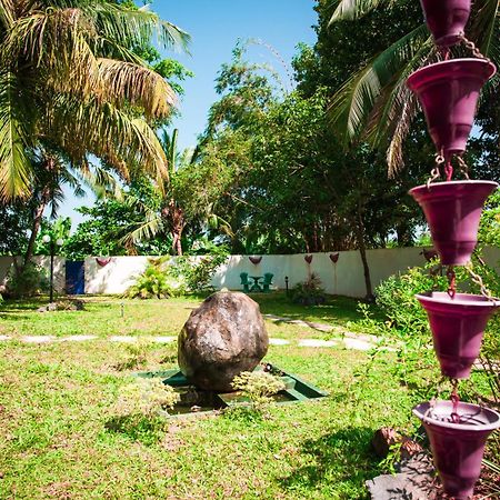 Dream Villa Mirissa Ngoại thất bức ảnh