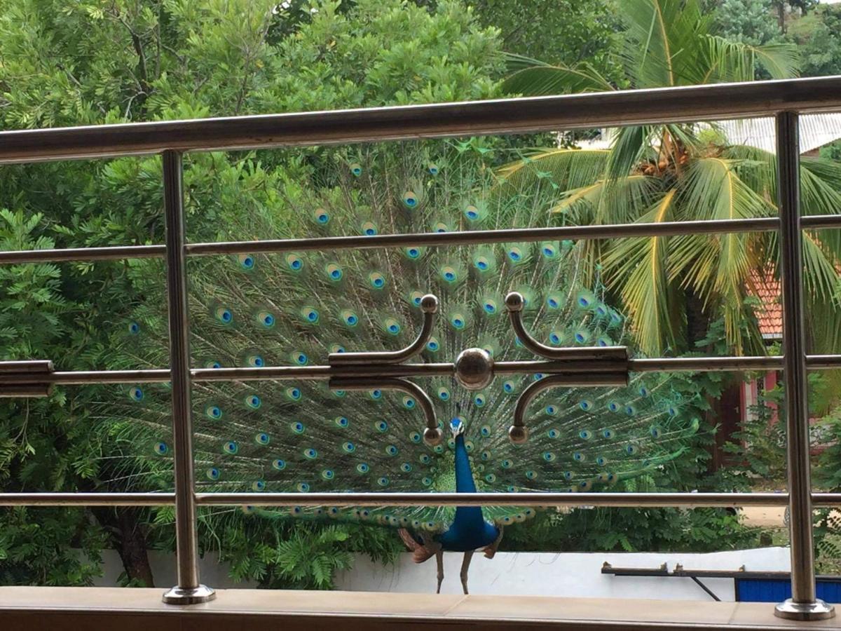 Dream Villa Mirissa Ngoại thất bức ảnh