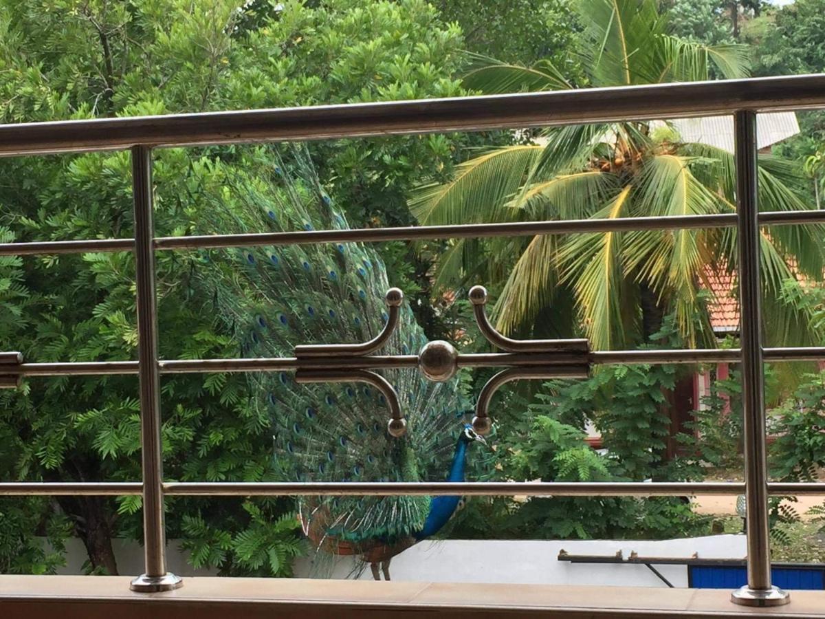 Dream Villa Mirissa Ngoại thất bức ảnh