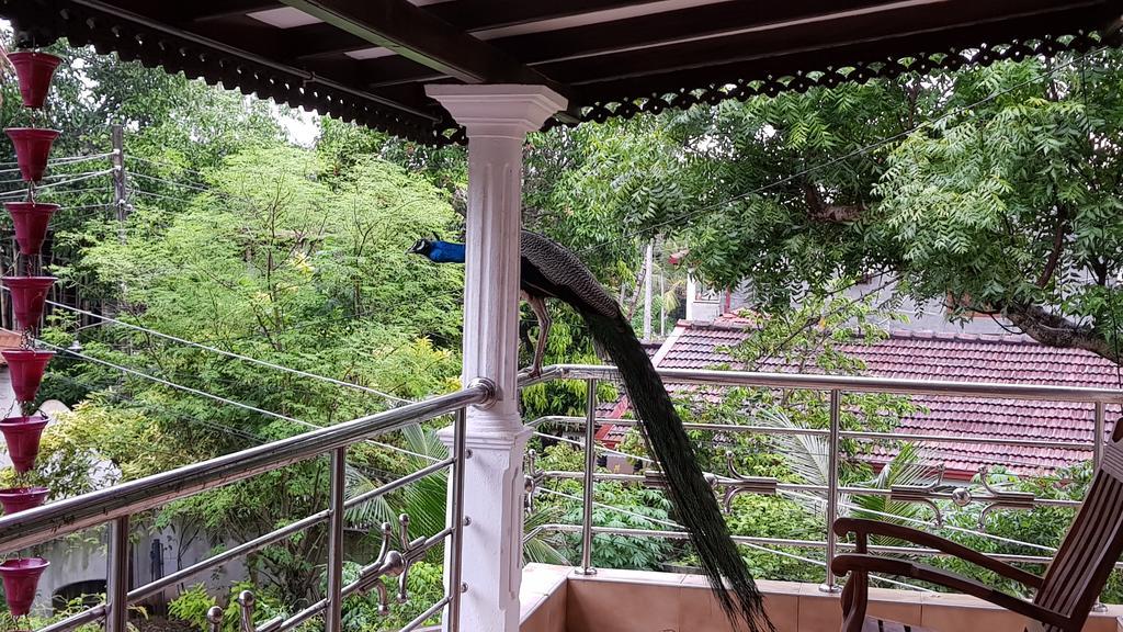Dream Villa Mirissa Ngoại thất bức ảnh